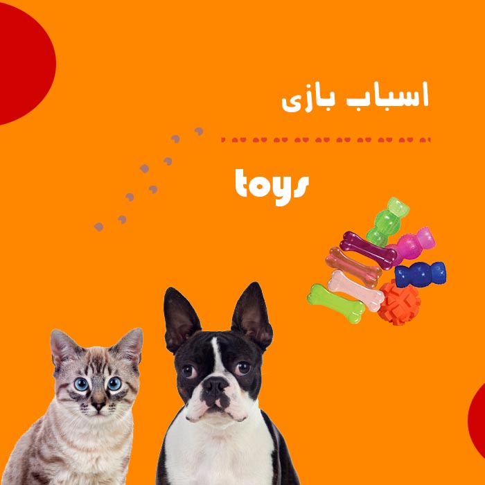 dry food banner