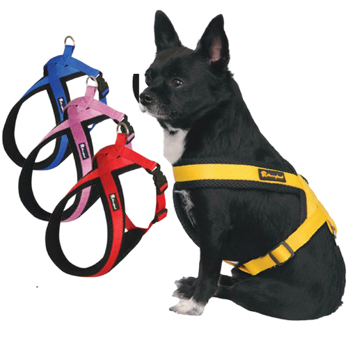 قلاده کمری Harness collar rashell سایز Merryland M