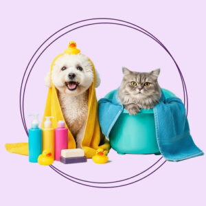 اقلام بهداشتی