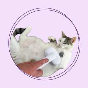 برس و پرزگیر و دستکش