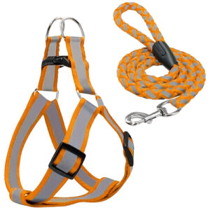 لیش و قلاده شبرنگی سایز M