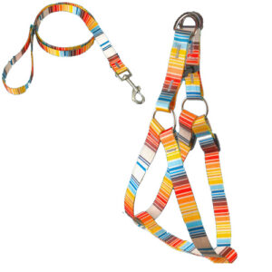 قلاده طرح دار ژوپیتر سایز L