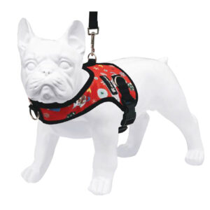 قلاده pegasus سایز Merryland  m