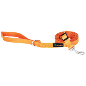 لید برزنتی 20*15 merryland