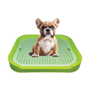 سيني ادرار اكار 42*52 petsa